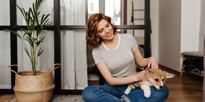 Finding the Perfect Sydney’s Pet Sitter: What You Need to Know
